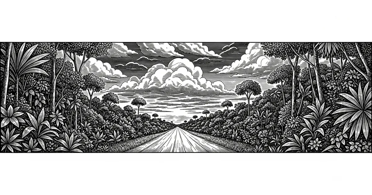 Estrada de terra na Amazônia — o caminho pra Cacoal.