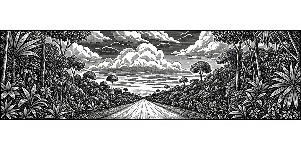 Estrada de terra na Amazônia — o caminho pra Cacoal.